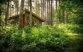 Sherwood Forest Cabins - Forest Holidays